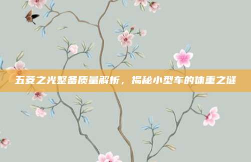 五菱之光整备质量解析，揭秘小型车的体重之谜