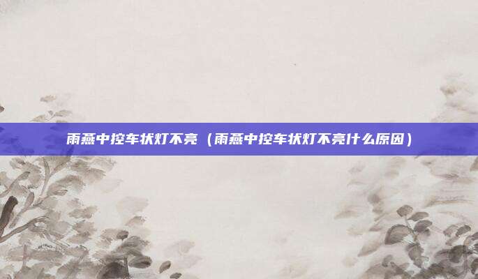 雨燕中控车状灯不亮(雨燕中控车状灯不亮什么原因)