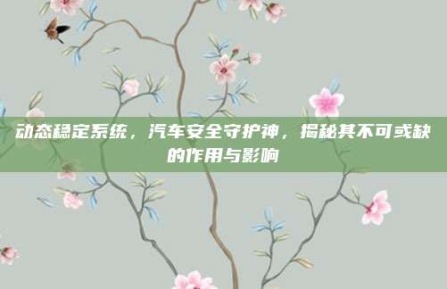 动态稳定系统，汽车安全守护神，揭秘其不可或缺的作用与影响