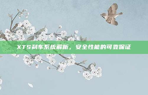 XTS刹车系统解析,安全性能的可靠保证