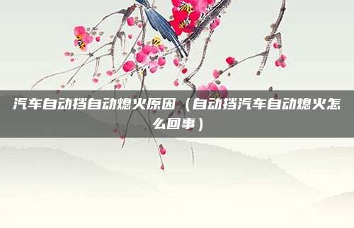 汽车自动挡自动熄火原因(自动挡汽车自动熄火怎么回事)