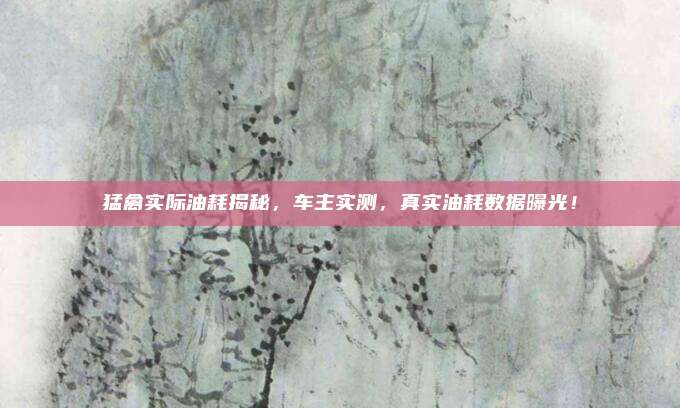 猛禽实际油耗揭秘,车主实测,真实油耗数据曝光!