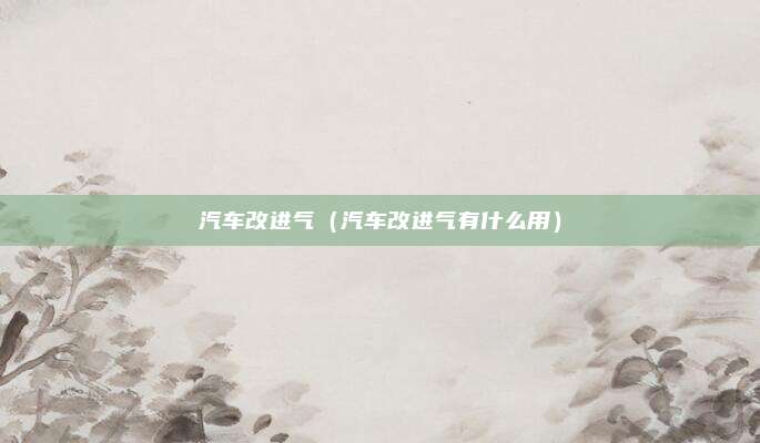 汽车改进气(汽车改进气有什么用)