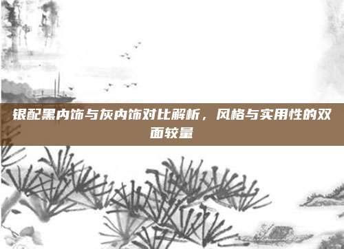 银配黑内饰与灰内饰对比解析,风格与实用性的双面较量