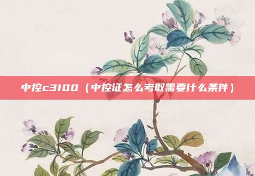 中控c3100（中控证怎么考取需要什么条件）