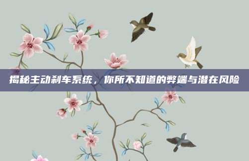 揭秘主动刹车系统，你所不知道的弊端与潜在风险