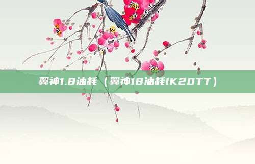 翼神1.8油耗（翼神18油耗IK20TT）