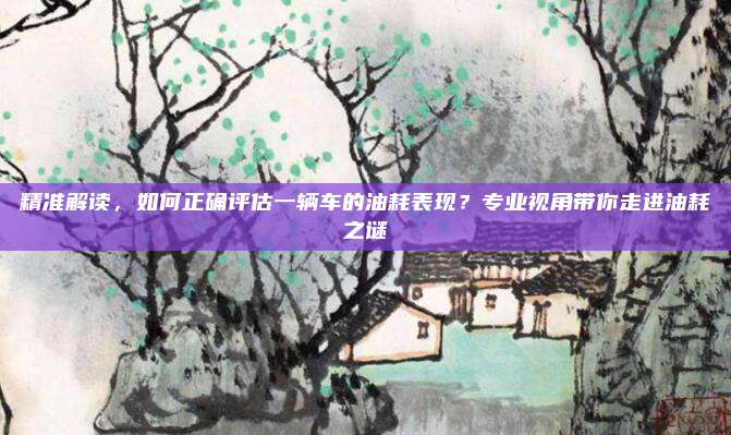 精准解读,如何正确评估一辆车的油耗表现?专业视角带你走进油耗之谜
