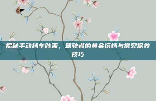 揭秘手动挡车膝盖,驾驶者的黄金搭档与常见保养技巧