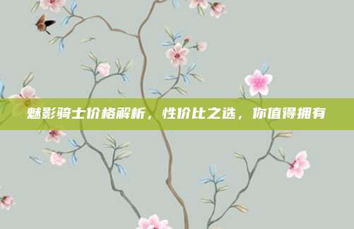 魅影骑士价格解析,性价比之选,你值得拥有