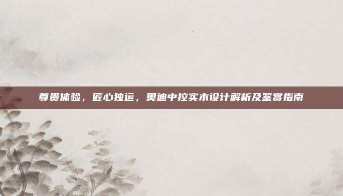 尊贵体验，匠心独运，奥迪中控实木设计解析及鉴赏指南