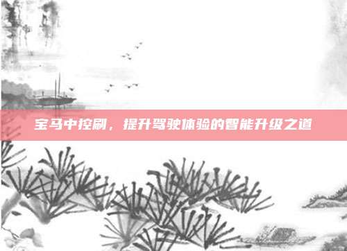 宝马中控刷,提升驾驶体验的智能升级之道