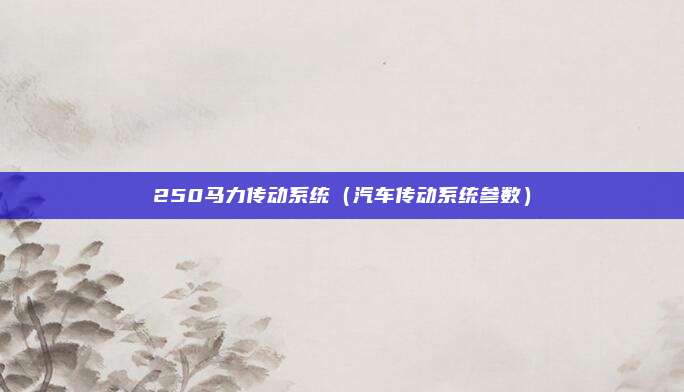 250马力传动系统（汽车传动系统参数）