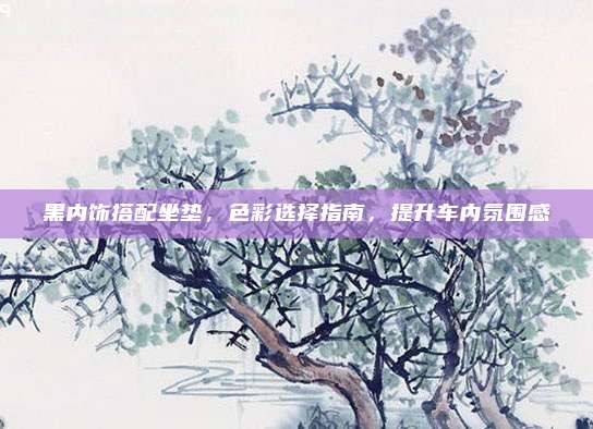 黑内饰搭配坐垫,色彩选择指南,提升车内氛围感