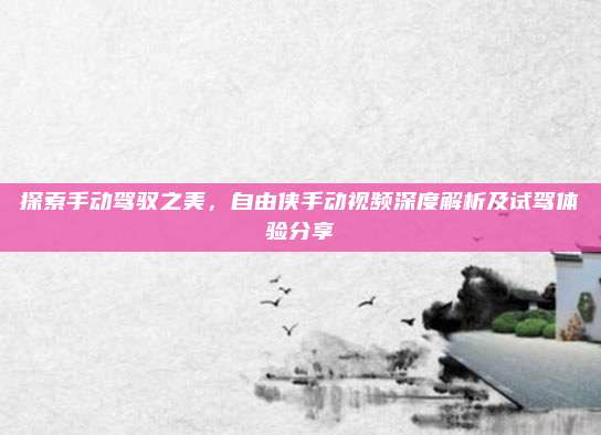 探索手动驾驭之美,自由侠手动视频深度解析及试驾体验分享