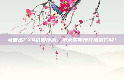 马自达CX4价格预测,未来购车预算提前揭晓!