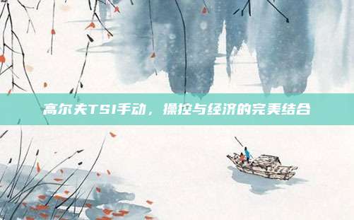 高尔夫TSI手动，操控与经济的完美结合