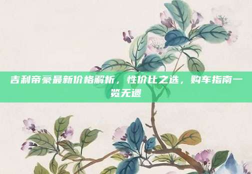 吉利帝豪最新价格解析,性价比之选,购车指南一览无遗