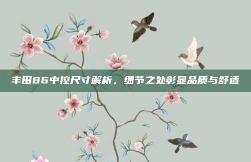 丰田86中控尺寸解析，细节之处彰显品质与舒适