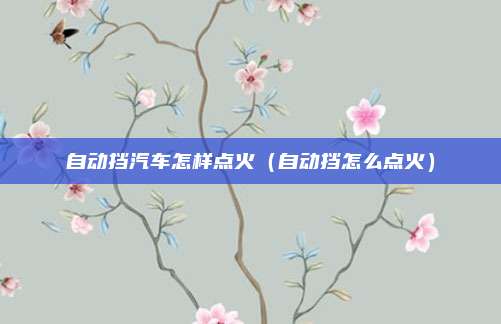 自动挡汽车怎样点火（自动挡怎么点火）