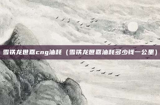 雪铁龙世嘉cng油耗（雪铁龙世嘉油耗多少钱一公里）