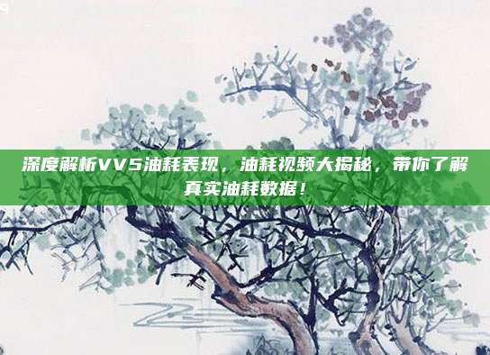 深度解析VV5油耗表现,油耗视频大揭秘,带你了解真实油耗数据!