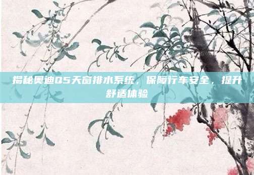 揭秘奥迪Q5天窗排水系统，保障行车安全，提升舒适体验