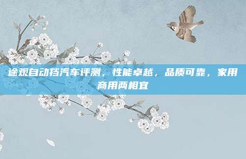 途观自动挡汽车评测，性能卓越，品质可靠，家用商用两相宜