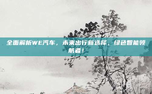 全面解析WE汽车,未来出行新选择,绿色智能领航者!