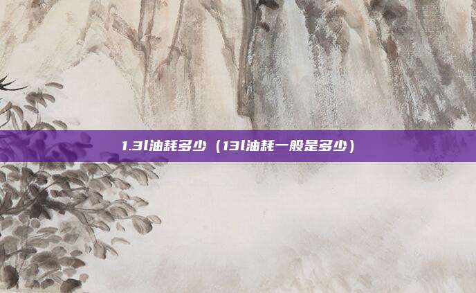 1.3l油耗多少（13l油耗一般是多少）