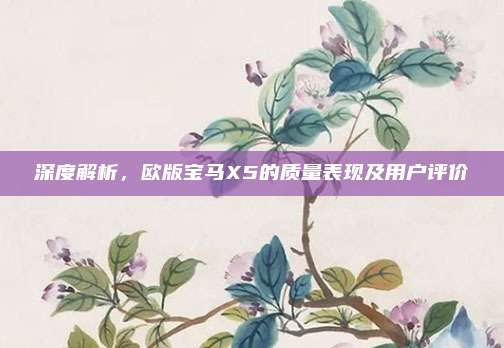 深度解析,欧版宝马X5的质量表现及用户评价
