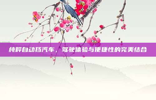 纯粹自动挡汽车,驾驶体验与便捷性的完美结合