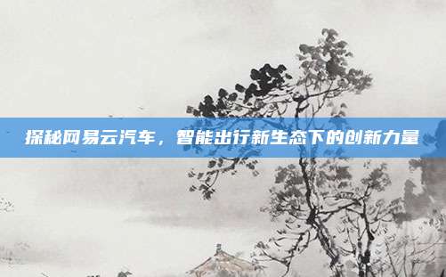 探秘网易云汽车,智能出行新生态下的创新力量