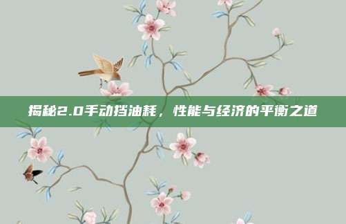 揭秘2.0手动挡油耗,性能与经济的平衡之道