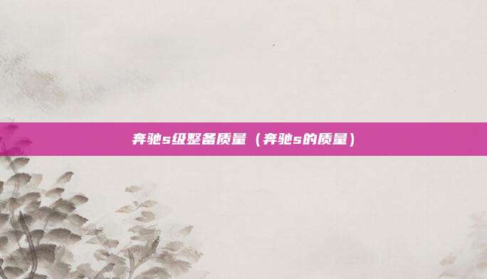 奔驰s级整备质量（奔驰s的质量）