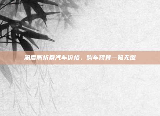 深度解析秦汽车价格,购车预算一览无遗