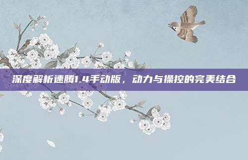 深度解析速腾1.4手动版，动力与操控的完美结合