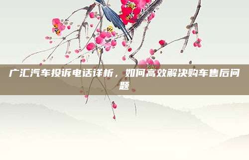 广汇汽车投诉电话详析，如何高效解决购车售后问题