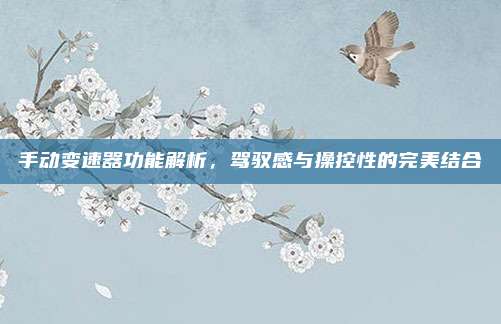 手动变速器功能解析，驾驭感与操控性的完美结合