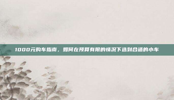 1000元购车指南,如何在预算有限的情况下选到合适的小车