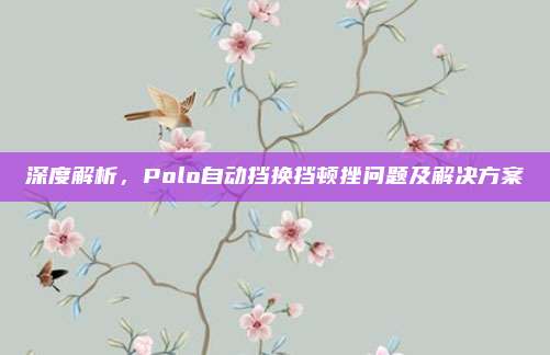 深度解析,Polo自动挡换挡顿挫问题及解决方案