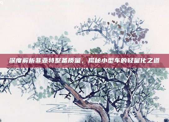 深度解析菲亚特整备质量,揭秘小型车的轻量化之道