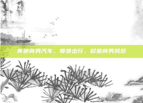奔驰商务汽车,尊贵出行,尽显商务风范