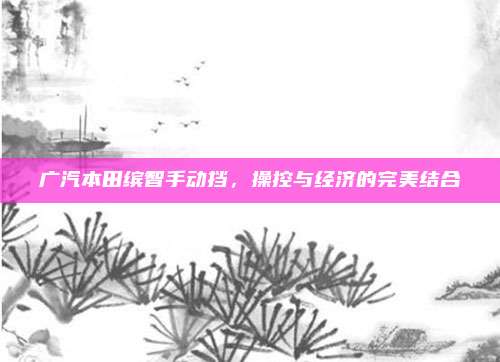 广汽本田缤智手动挡，操控与经济的完美结合