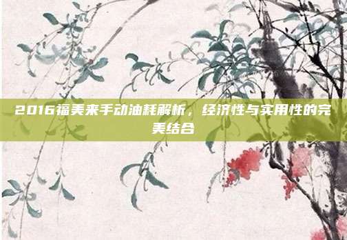 2016福美来手动油耗解析,经济性与实用性的完美结合