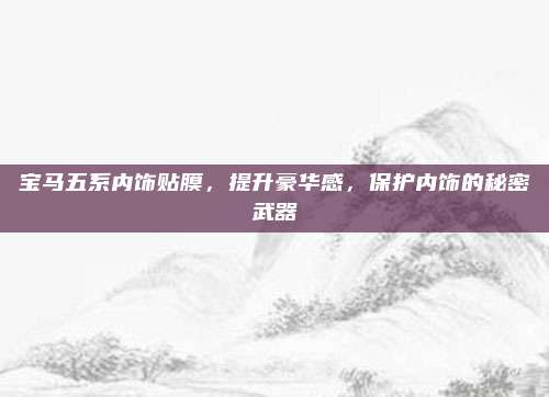 宝马五系内饰贴膜，提升豪华感，保护内饰的秘密武器