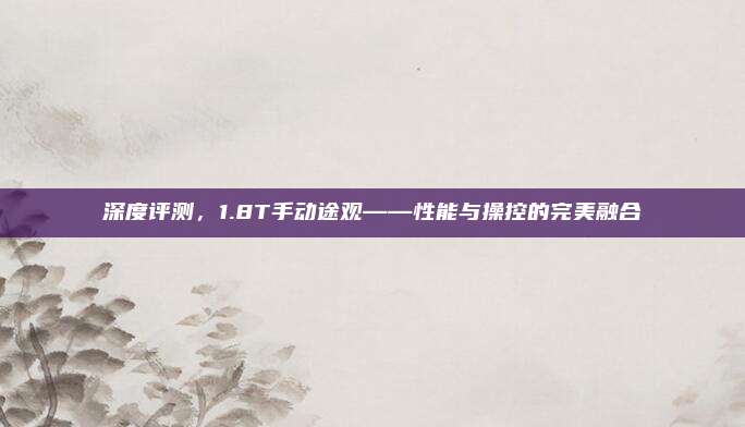 深度评测，1.8T手动途观——性能与操控的完美融合