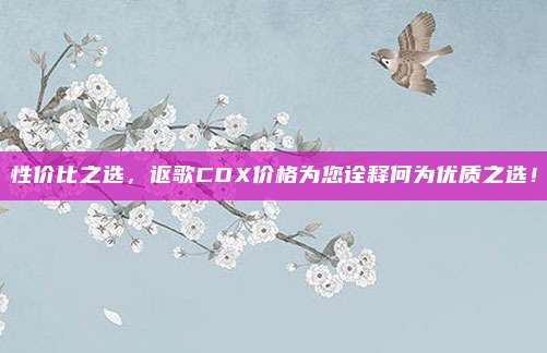 性价比之选，讴歌CDX价格为您诠释何为优质之选！
