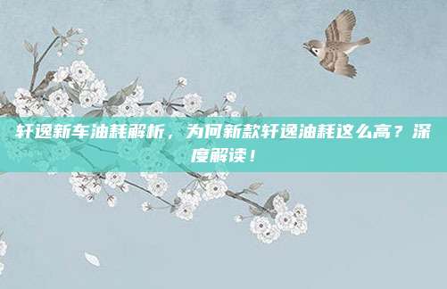 轩逸新车油耗解析,为何新款轩逸油耗这么高?深度解读!