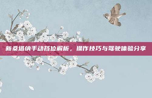 新桑塔纳手动挡位解析，操作技巧与驾驶体验分享